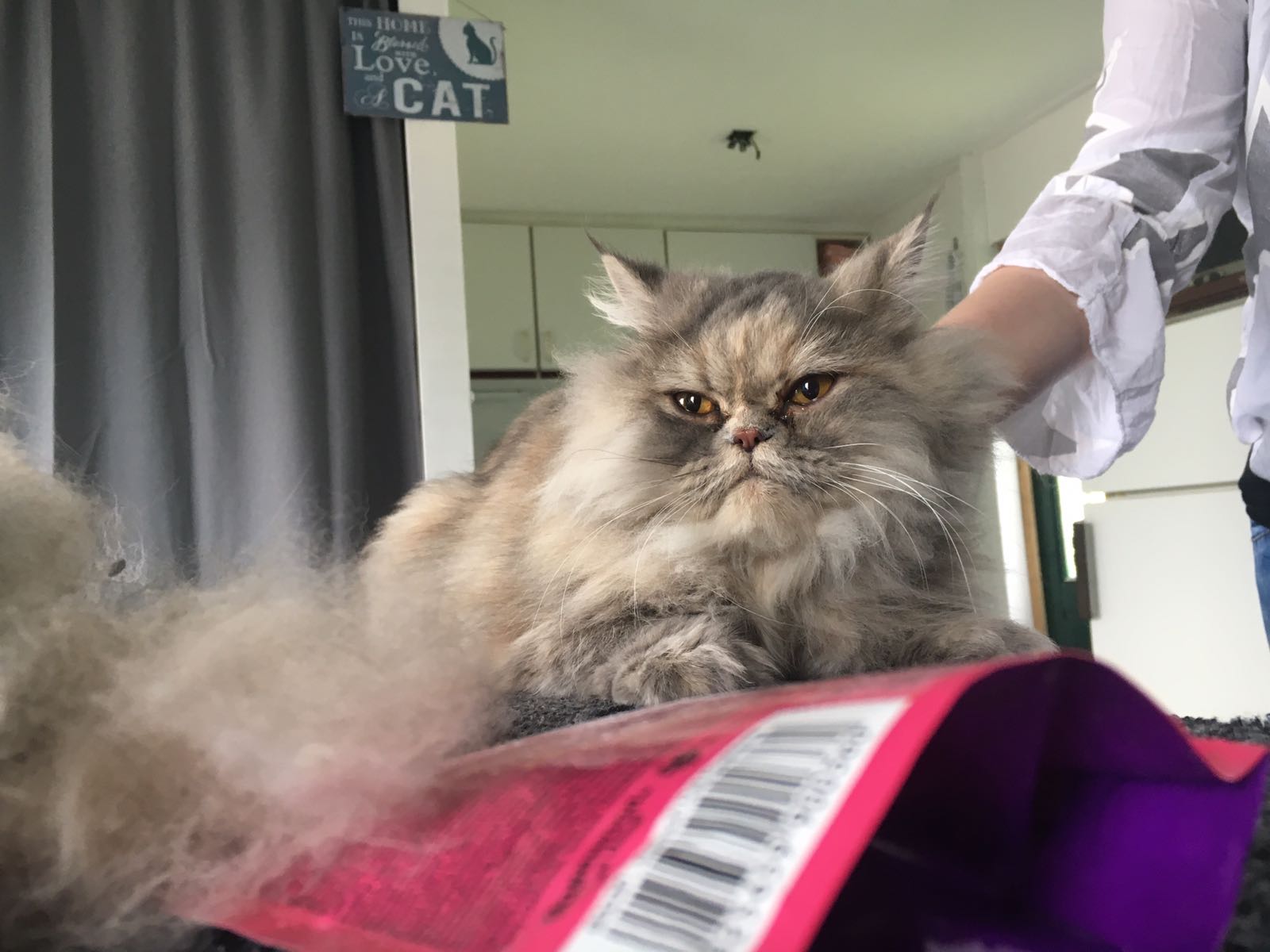 Purrfect C(o)at